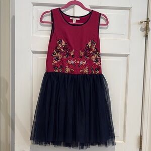 Maimi Pink and Blue Embroidered Floral Dress with Navy Blue Tulle Lined Skirt